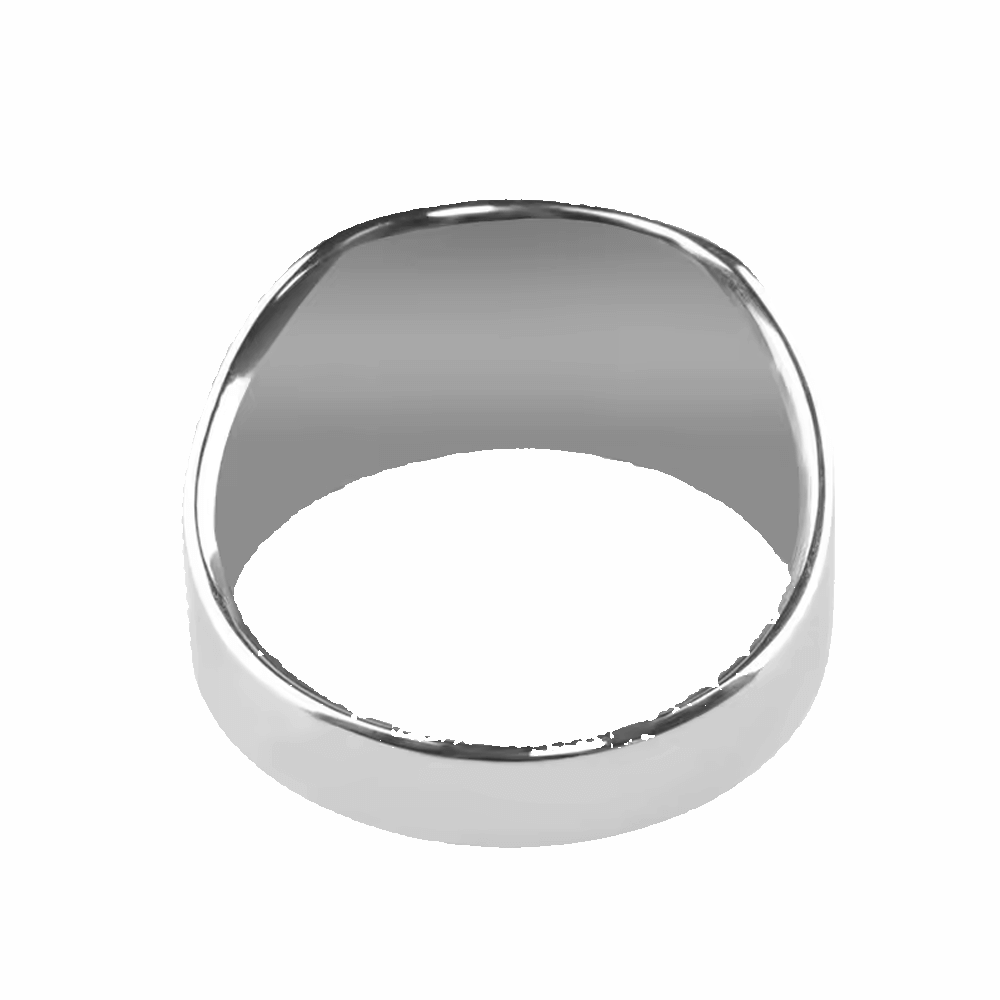 Ultimate Sensation Cock Ring at Tickle & Twist