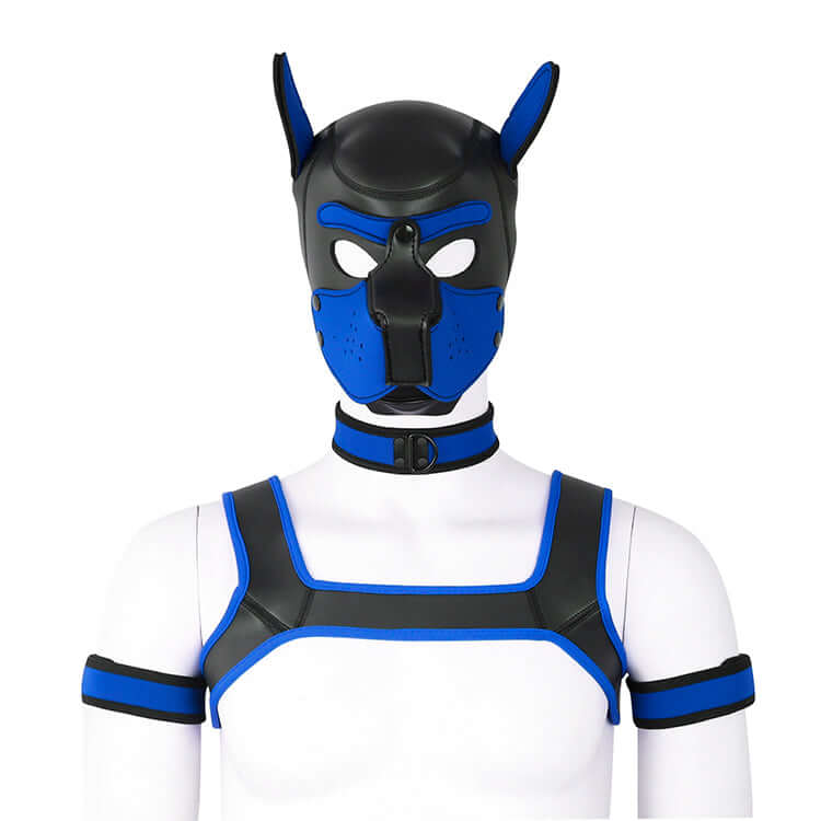 ALPHA PUP HOOD SET - Blue & Black - Pup Hood UK