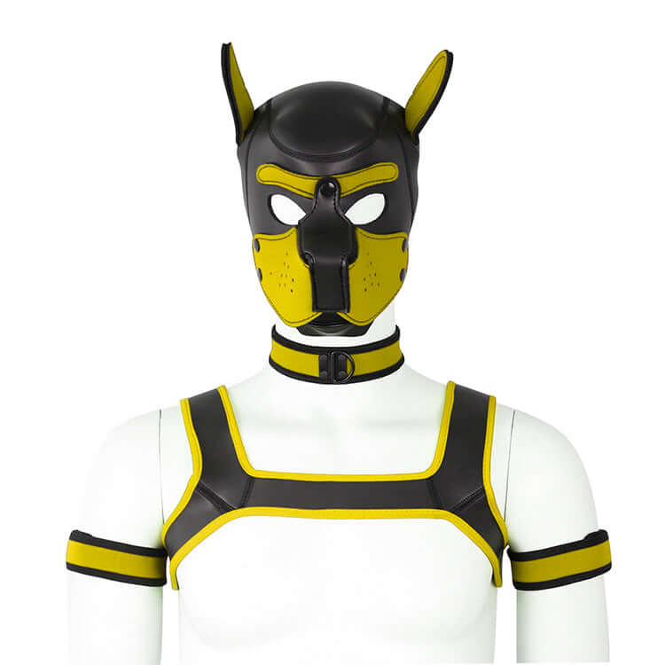 ALPHA PUP HOOD SET - Yellow & Black - Pup Hood UK