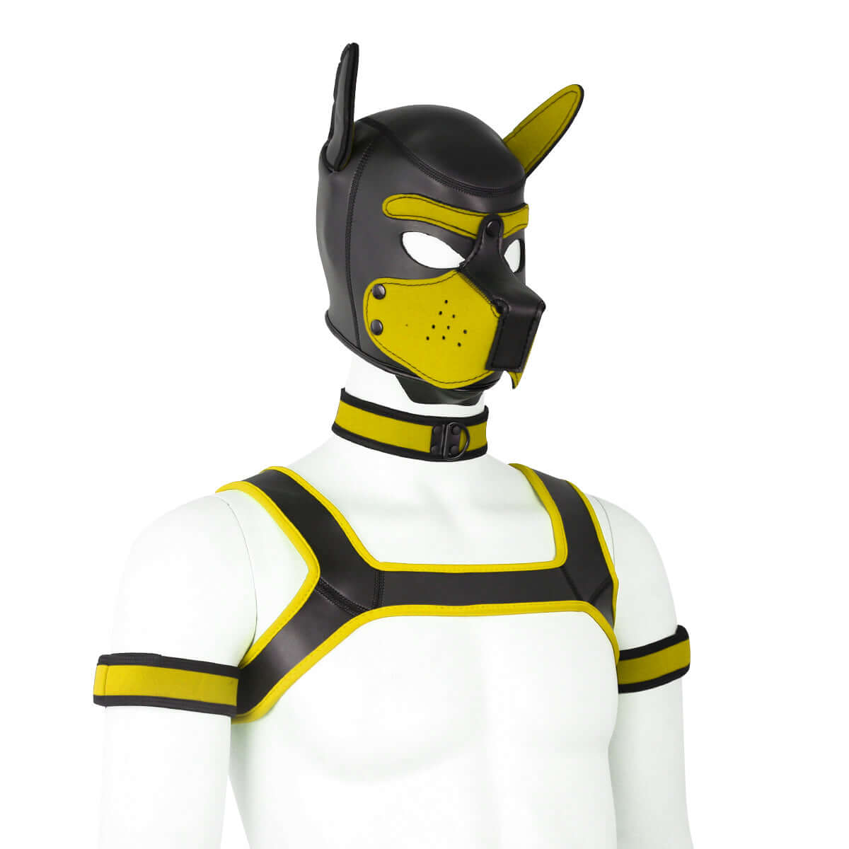 ALPHA PUP HOOD SET - Yellow & Black - Pup Hood UK