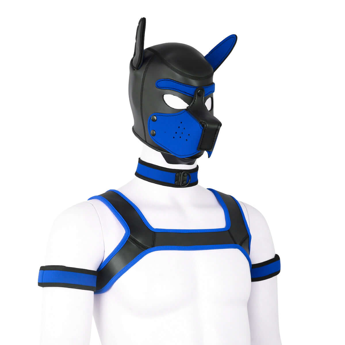 ALPHA PUP HOOD SET - Blue & Black - Pup Hood UK